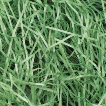 35-5875 pbL TTK 20985335