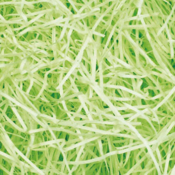 35-5881 pbL TTK 20985414