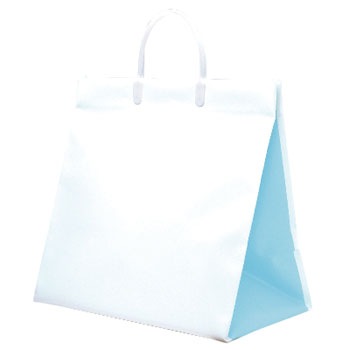 35-5724 ��񂰎��� �p�[���o�b�O �T�T�K�� 20985493