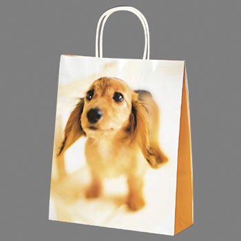 50-5114 񂰎 oGeB TTK 20986132