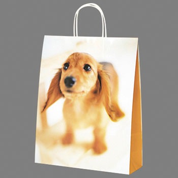 50-6314 񂰎 oGeB TTK 20986166