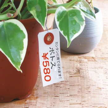 耐水紙荷札 タカ印(ササガワ)