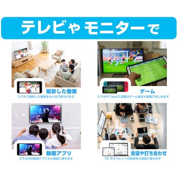 HDMI変換ケーブル スイッチTV出力用 カシムラ