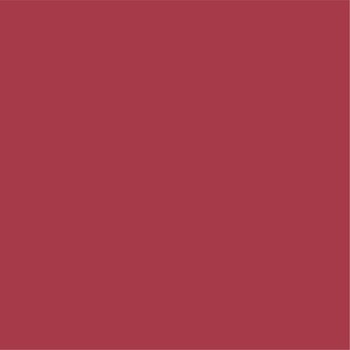 49-1113 n  TTK 20990086