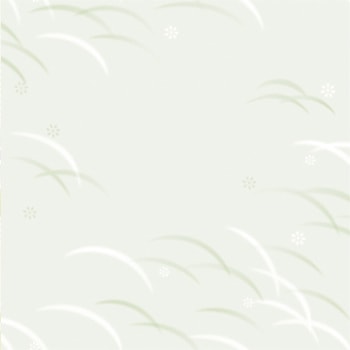 包装紙 佛事柄 全判 ササガワ