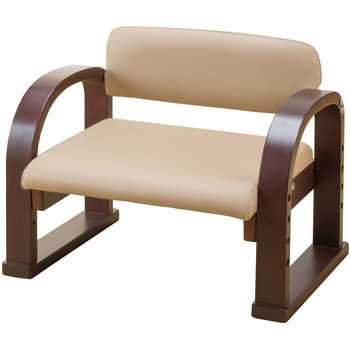 0409430 �V�R�ؗ�������y������֎q ���{�� �t�@�~���[�E���C�t 20997605