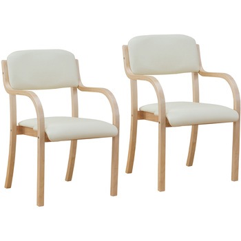 0408740 ��������T�|�[�g�`�F�A �t�@�~���[�E���C�t 20997666