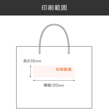 【名入れ】ワンポイント箔押し手提げ紙袋≪イラストレーターデーター入稿≫ レスタス