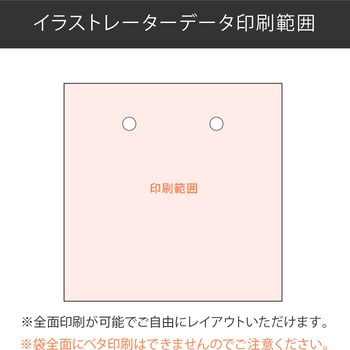 【名入れ】ラミネート手提げ紙袋≪イラストレーターデーター入稿≫ レスタス