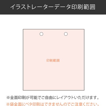 【名入れ】ラミネート手提げ紙袋≪イラストレーターデーター入稿≫ レスタス