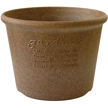 8�� �G�R�|�b�g��^ �������� 21004506