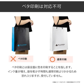 【名入れ】ラミネート手提げ紙袋≪簡単名入れ入稿≫ レスタス