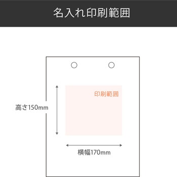 【名入れ】ラミネート手提げ紙袋≪簡単名入れ入稿≫ レスタス