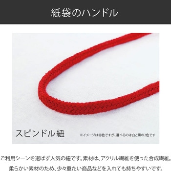 【名入れ】ラミネート手提げ紙袋≪簡単名入れ入稿≫ レスタス