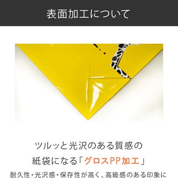 【名入れ】ラミネート手提げ紙袋≪簡単名入れ入稿≫ レスタス
