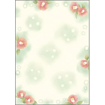 4-1036 �a���p�� �a������ A4�T�C�Y �T�T�K�� �ؗ�120g/m<sup>2</sup> 21017788