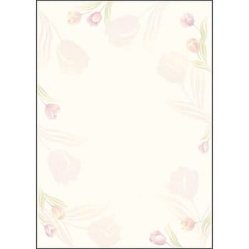デザインOA用紙 Fralle フラール ササガワ
