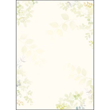 デザインOA用紙 Fralle フラール ササガワ