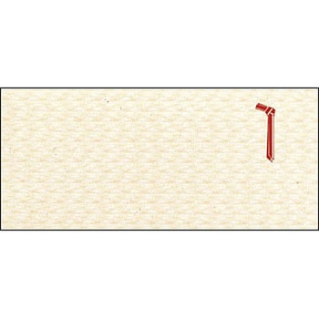 商品券箱 横型のし付 折込式無字 タカ印(ササガワ)