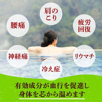 薬泉めぐり アース製薬