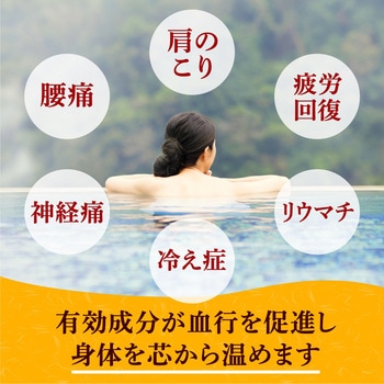 温泉郷めぐり アース製薬