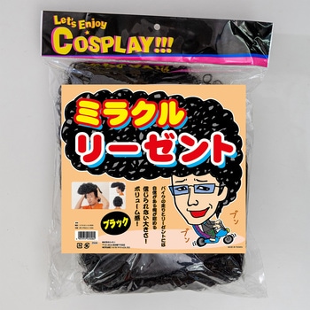 お笑いかつら ササガワ
