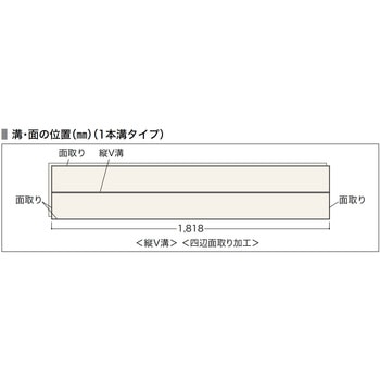 カナエルR12 ノダ