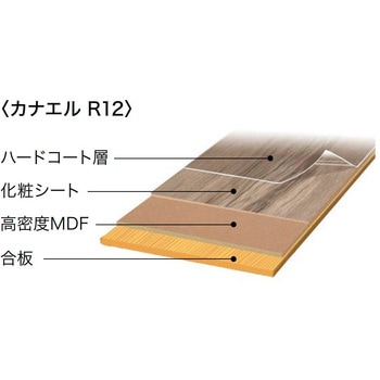 カナエルR12 ノダ