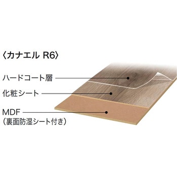 カナエルR6 ノダ