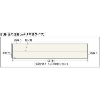 カナエルC12・Jベース ノダ