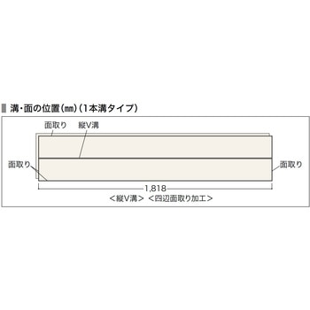 カナエルC6 ノダ