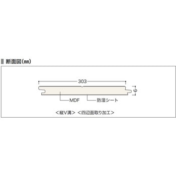 カナエルC6 ノダ