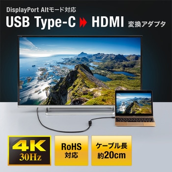 変換アダプタ サンワサプライ
