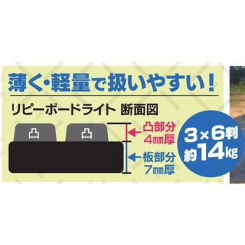 リピーボードライト 3×6判片面凸 1セット(6枚) リピープラス 【通販モノタロウ】