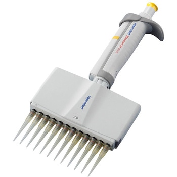 3125 000.060 }CNsybg(Gbyht T[`vX) Eppendorf(Gbyht) e30`300L `l12`l  1 21205670