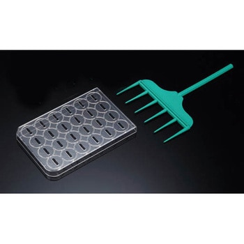 SPL-201924 SPLScarXNb`[ PjX 21211656