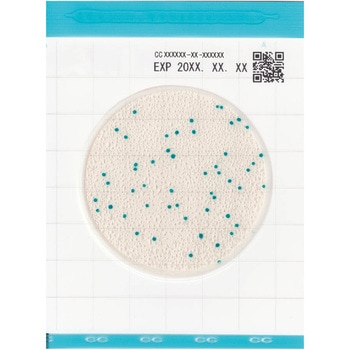 微生物検査用フィルム培地 Easy Plate(Medi・Ca) キッコーマン