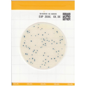 微生物検査用フィルム培地 Easy Plate(Medi・Ca) キッコーマン