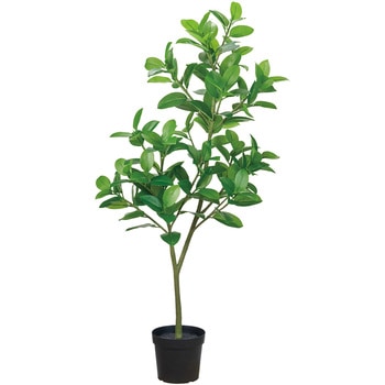 ゴムノキポット3WAY MAGIQ(東京堂)