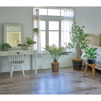 シェフレラポット3WAY MAGIQ(東京堂)