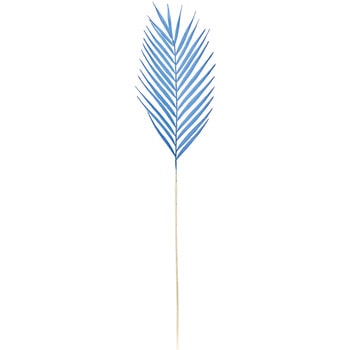 FG004512-010 }eBJp[[t MAGIQ() 21222874