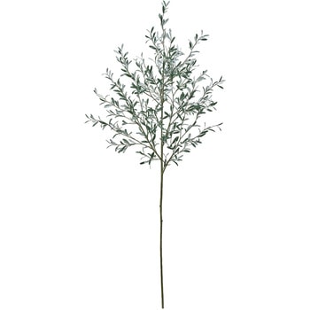 オリーブ大枝 MAGIQ(東京堂)