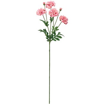 FM000778-052 �}���[�S�[���h�X�v���[ MAGIQ(������) 21223355