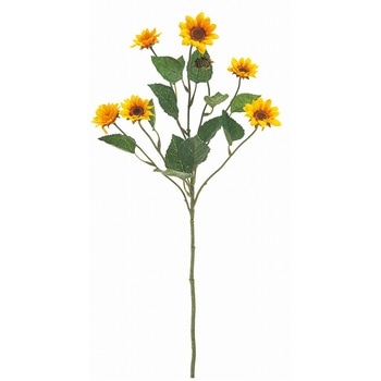 ラヴィーヌサンフラワー MAGIQ(東京堂)