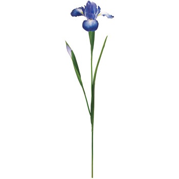 FM009657-010 ���Ƃ߉Ԃ��傤�� MAGIQ(������) �A�C���X ����� 21224028