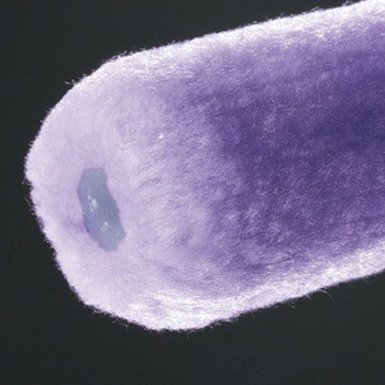 ミドルローラー バイオレット 中毛 TSオリジナル(高翔産業)