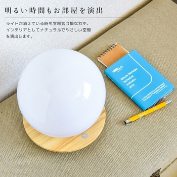 wasser41 LED 球型 ボールライト 大河商事