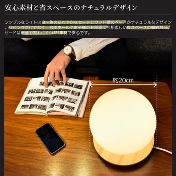 wasser41 LED 球型 ボールライト 大河商事