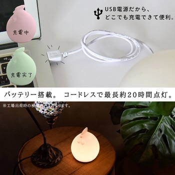 wasser60 マシュマロライト コッコ 大河商事