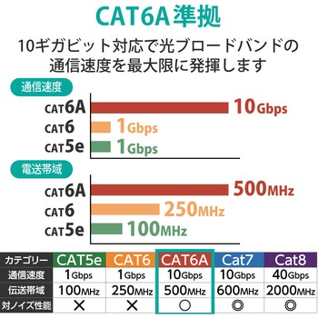 LANケーブル CAT6A 高速 10Gbps ストレート 爪折れ防止 RoHS指令準拠 エレコム